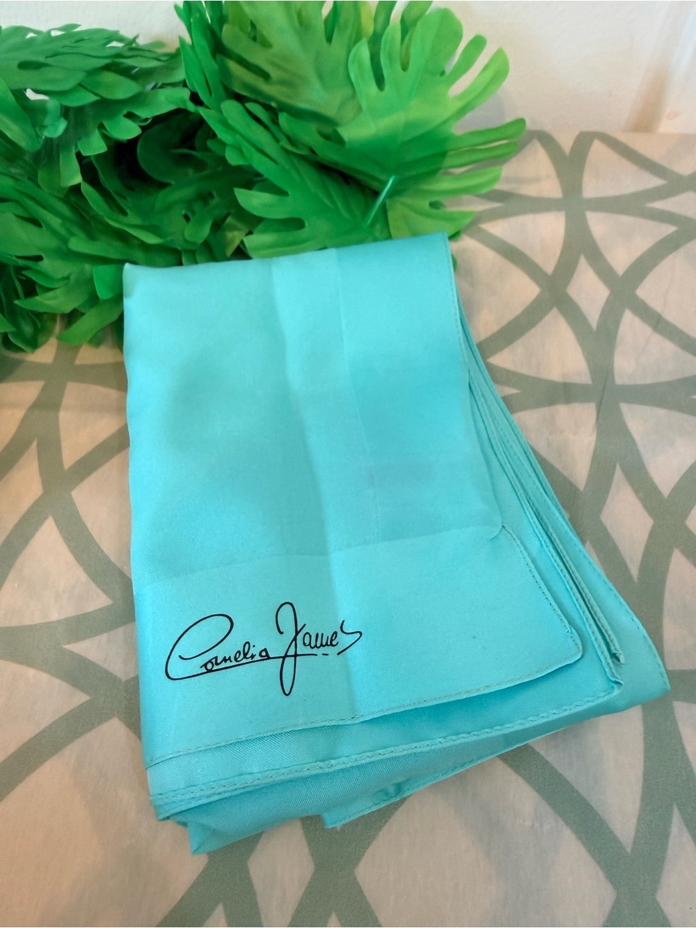 💫10/$25 • Vintage Cornelia James Turquoise Scarf